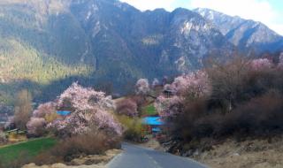 云南的简称 云南的简称